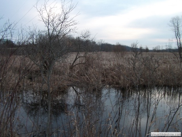 In January, I nearly purchased 17 acres of wetlands. Sadly, the seller was a bit unreasonable and the deal dell through.<br/>