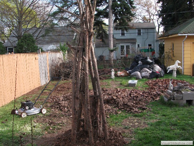 The first thing I did was set up a kind of totem where I planted peas. Gotta eat your peas, you know.
