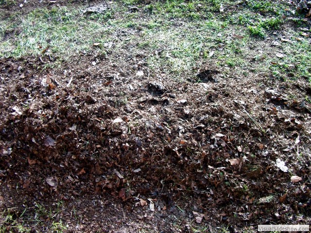 ...into THIS (Rick's Natural Triple Cut Garden Mulch), which, I realized could be a great product to develop with no gardening involved at all, but, I digress.