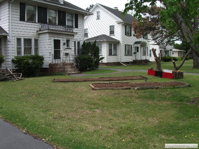 May 18: front yard with three mulch beds. The two big ones are for tobacco, the fenced one has wildflowers already sprouting.