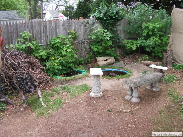 The frog (left) and goldfish (right) ponds. I have four tadpoles which will be frongs in a month or so, and six goldfish. They're a riot.