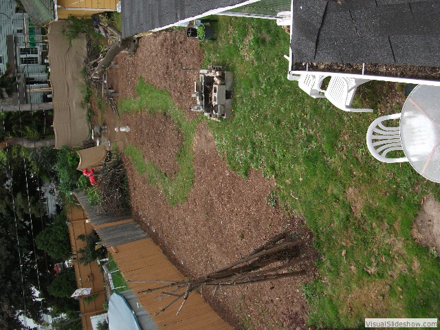 Aerial view of (most of) back yard. Already in the ground (mulch) are onions, cherry tomatoes, cucumbers and...