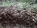 ...into THIS (Rick's Natural Triple Cut Garden Mulch), which, I realized could be a great product to develop with no gardening involved at all, but, I digress.